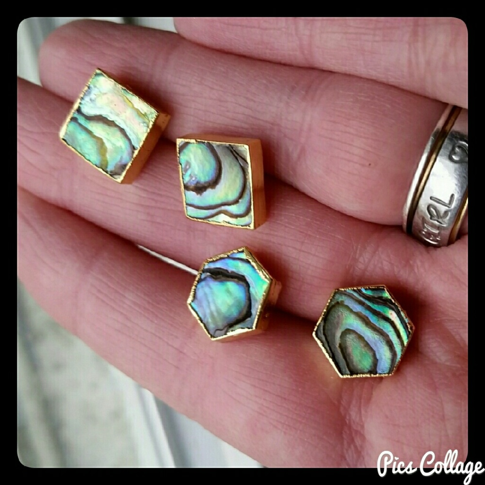 Natural Abalone Shell Earrings
